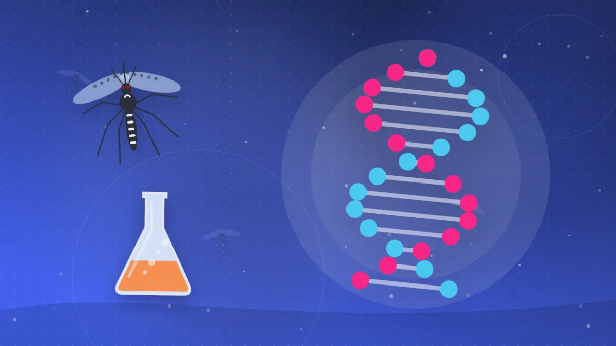 Minh họa chuỗi DNA và muỗi vằn với biểu tượng hóa chất