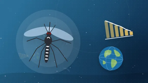 Minh họa muỗi vằn Aedes cùng biểu đồ số ca bệnh giảm dần