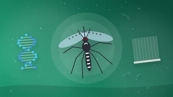 Minh họa muỗi Anopheles đực trong lồng nghiên cứu cùng chuỗi DNA